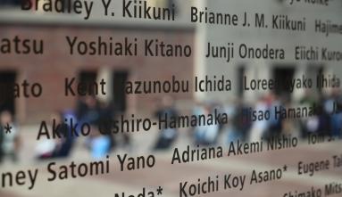 donor wall